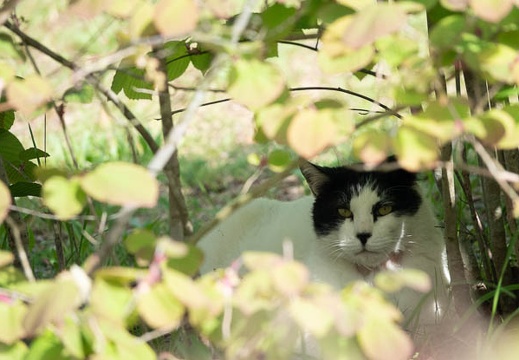 202304181520-DSC00919.jpg