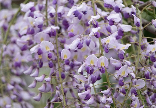 202304191633-DSC01154.jpg