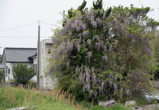 202304191637-DSC01168.jpg