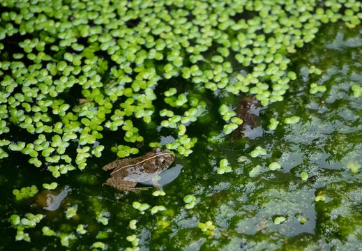 202304191711-DSC01199.jpg