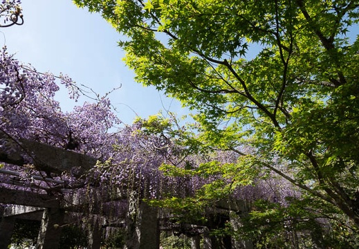 202304221451-DSC01693.jpg