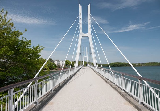 202304231405-DSC01827.jpg