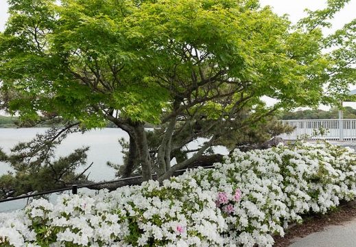 202304231539-DSC01983.jpg