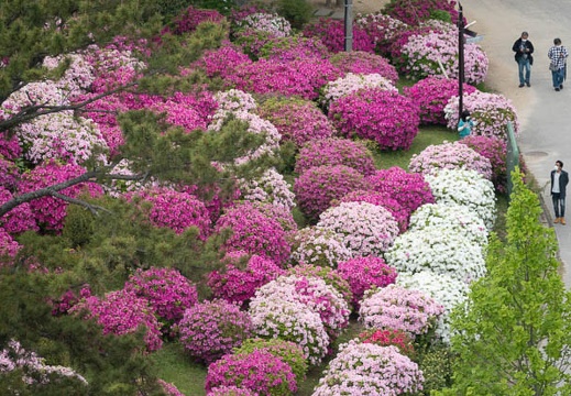 04.23 ときわ公園