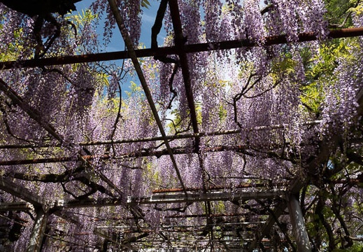 202304271504-DSC02290.jpg