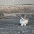 202304301647-DSC03200.jpg