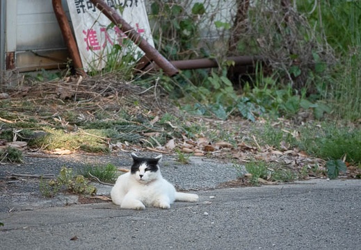 202305011728-DSC03414.jpg