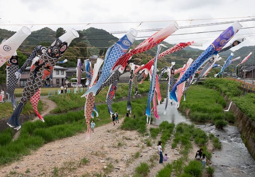 202305041603-DSC03997.jpg