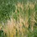 202305051603-DSC04249.jpg
