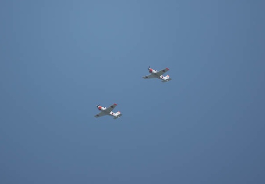 202305101345-DSC04328.jpg