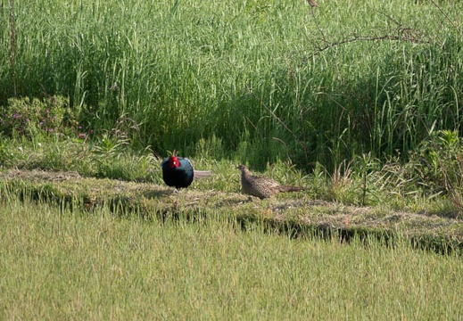 202305101636-DSC04402.jpg