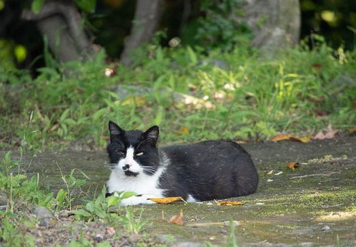 202305111501-DSC04657.jpg