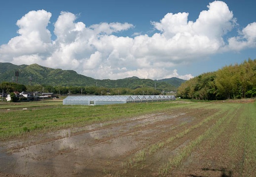 202305141505-DSC05111.jpg