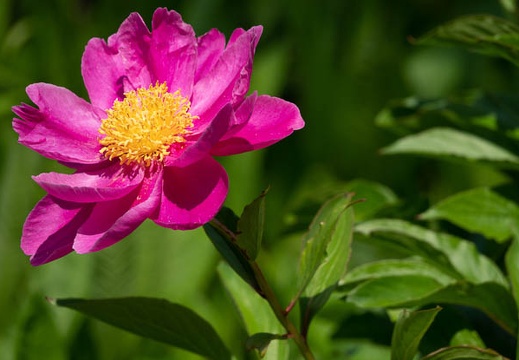 202305151326-DSC05345.jpg