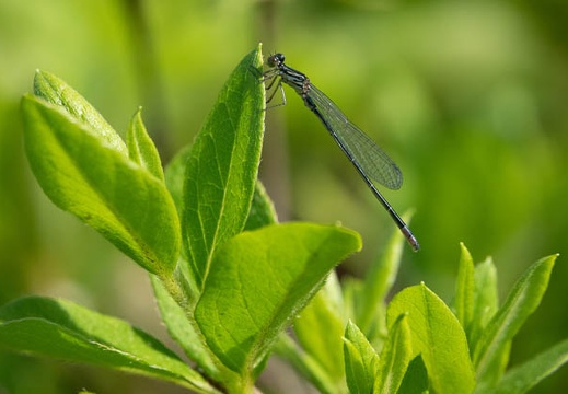 202305151525-DSC05410.jpg