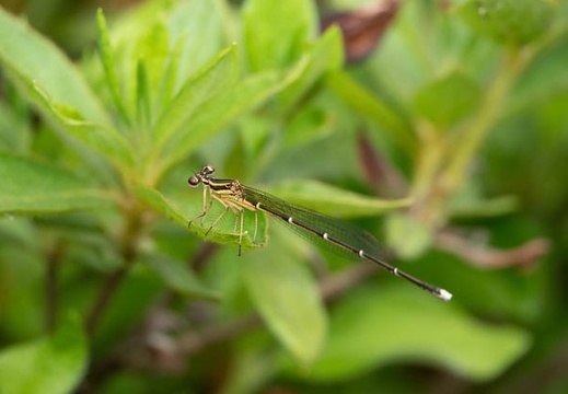 202305251455-DSC05714.jpg