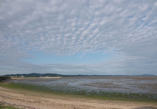 202305251729-DSC05752.jpg