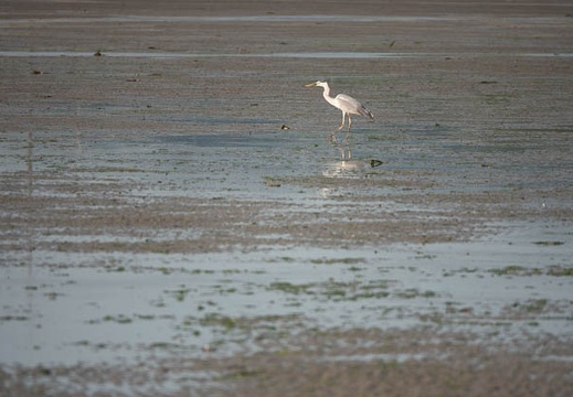 202305251731-DSC05756.jpg