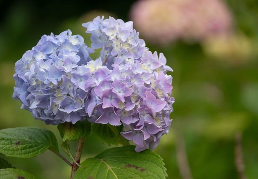 202305271640-DSC05795.jpg