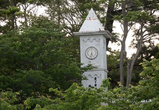 202305271736-DSC05818.jpg
