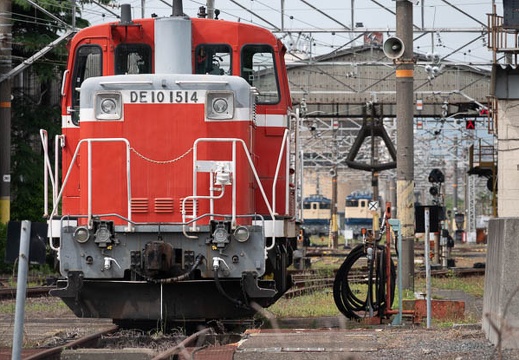202305281455-DSC05911.jpg