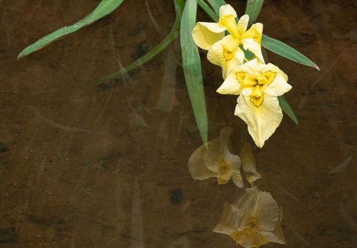 202306091534-DSC06178.jpg