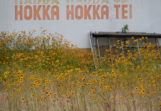 202306201444-DSC06323.jpg