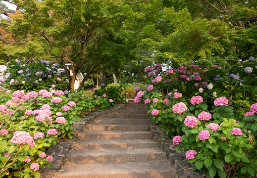 202306201803-DSC06356.jpg