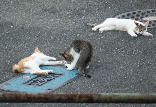 08.11 下関