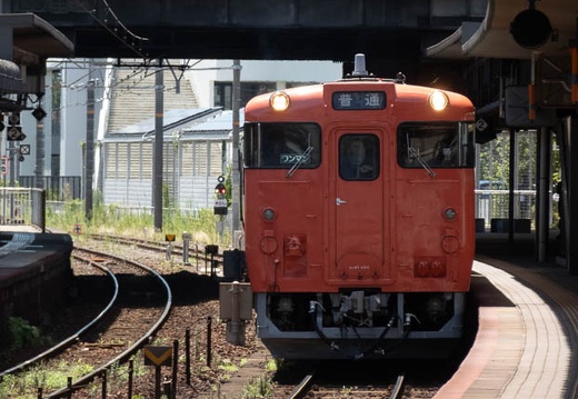 202308141246-DSC02648.jpg