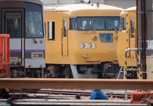 202310141403-DSC06676.jpg