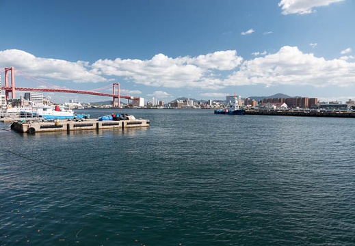 202310291229-DSC08427.jpg