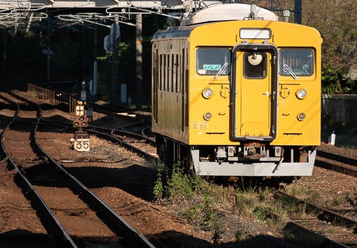 202310291549-DSC08553.jpg