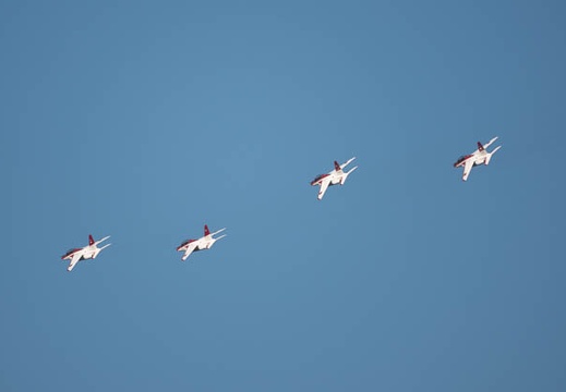 202311260830-DSC09604.jpg