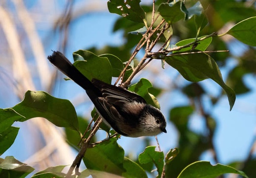 202401021524-DSC01477.jpg
