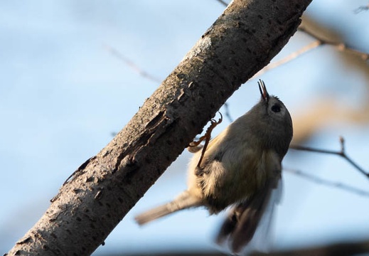 202401021549-DSC01530.jpg