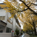 202411270940-DSC02970.jpg