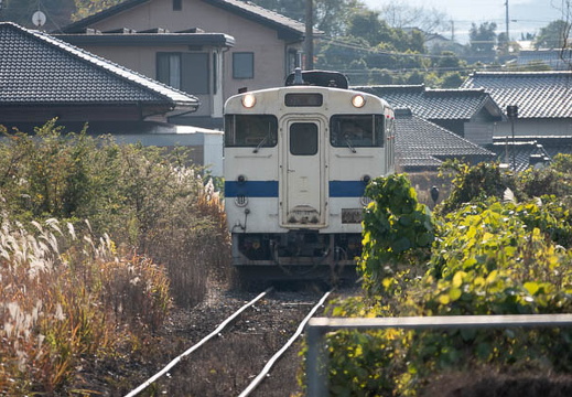 202412071422-DSC04981.jpg