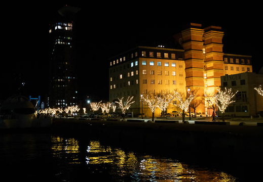 202501011942-DSC05511.jpg