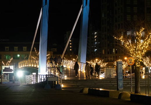 202501011949-DSC05541.jpg
