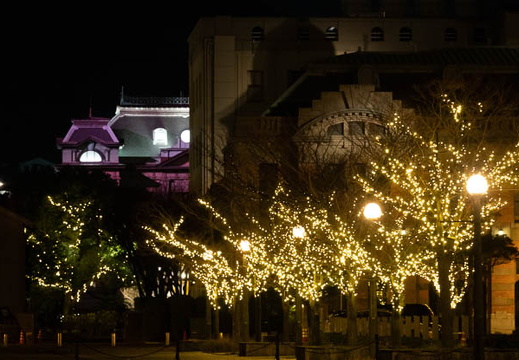 202501012044-DSC05704.jpg