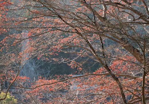 202501021515-DSC05899.jpg