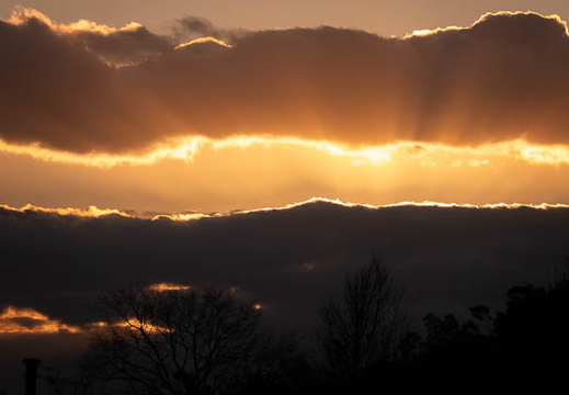 202501031701-DSC06308.jpg