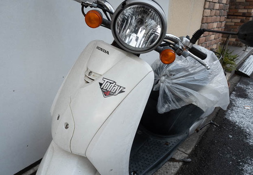 202501100802-DSC03023.jpg