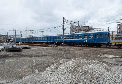 202502101027-DSC03084.jpg