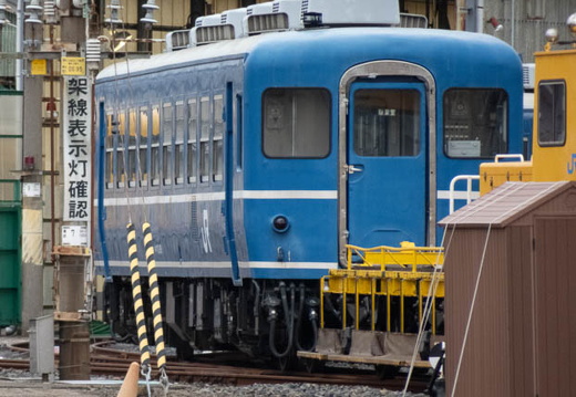 202502101029-DSC03103.jpg