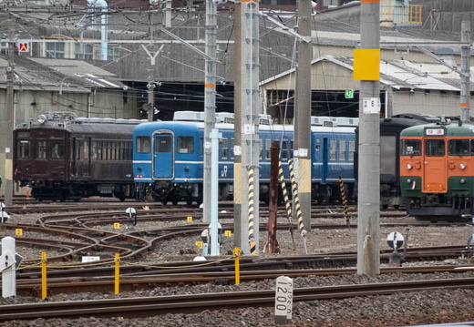 202502101045-DSC03141.jpg