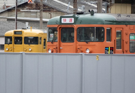 202502101048-DSC03151.jpg
