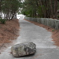 202502151438-DSC07431.jpg