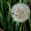202502161648-DSC07652.jpg